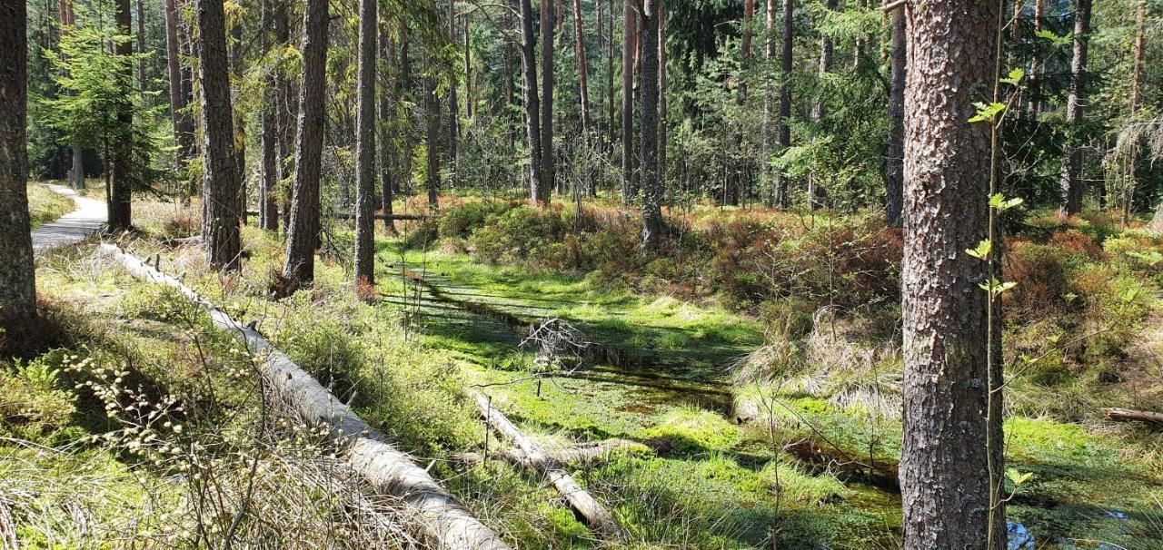 Eco Domek Z Duzym Ogrodem I Widokiem 무르자시츨 외부 사진