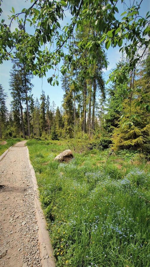 Eco Domek Z Duzym Ogrodem I Widokiem 무르자시츨 외부 사진