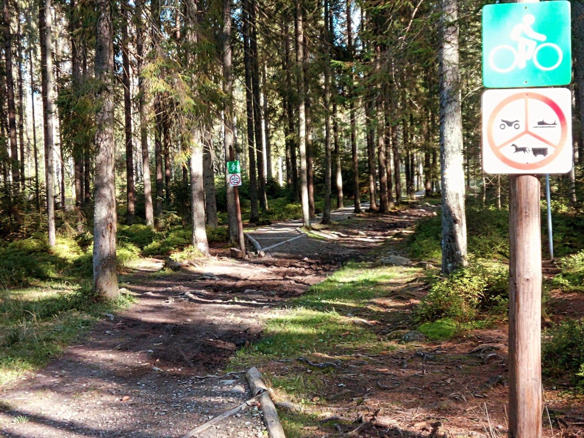 Eco Domek Z Duzym Ogrodem I Widokiem 무르자시츨 외부 사진